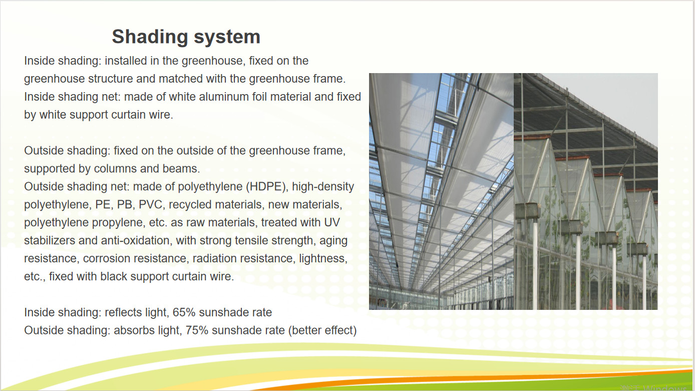 Custom Dutch Venlo Greenhouse Modern Farms Greenhouse With Intelligent Control System