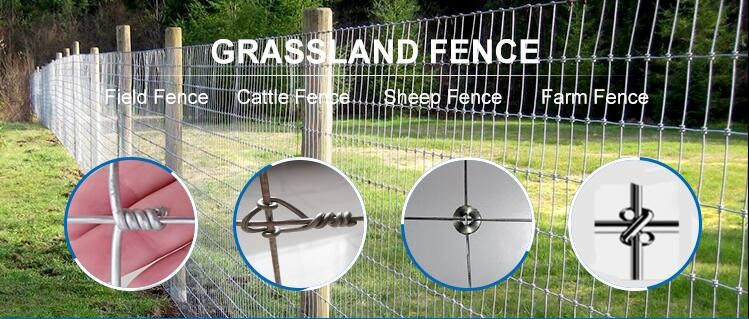 Livestock 2.0mm Wire Cattle Fencing Hot Low Carbon Steel Q195