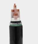 PVC SWA XLPE Copper Armoured Cable Steel Wire 1000V With 5 Core