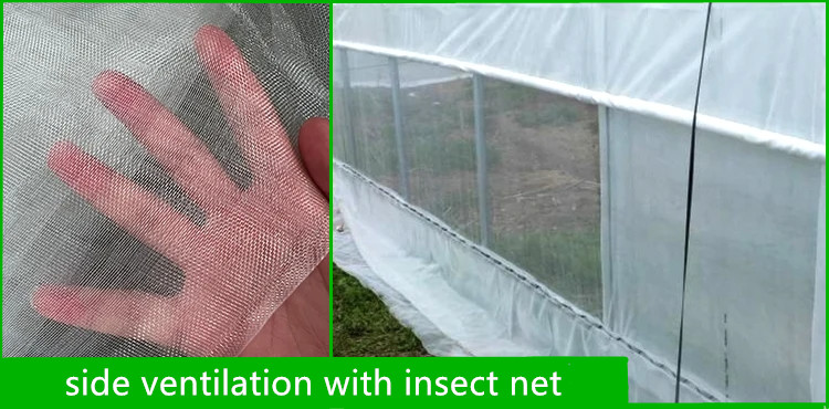 2.5-5M Height Tomato Hydroponic High Tunnel Agriculture Greenhouse with Film Cover