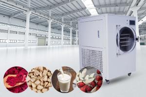 Wholesale Mini Food Home Freeze Drying Equipment 6Kg 8Kg 10Kg from china suppliers