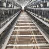 Buy cheap H Type Automatic Layer Cage System , 450cm2/Bird Q235 4 Tier Chicken Cage from wholesalers