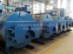 700bhp Oil Fired Steam Generator Natural Gas Hot Water Boiler Long Service Life