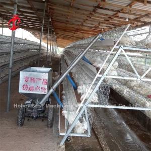 Wholesale 96 120 128 160 Birds 3 Tier And 4 Tier Layer Battery Cage System For Sale In Lagos Nigeria Sandy from china suppliers