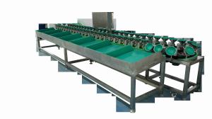 Wholesale 1000g Tray Fruit Sorting System from china suppliers