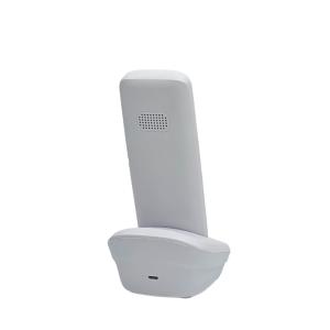 Wholesale FM Radio 2G GSM DECT Phone MP3 Dual SIM Card Slot from china suppliers