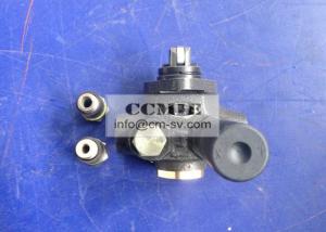 Wholesale 535-000 Model XCMG Spare Parts , Fuel delivery pump for Road Roller from china suppliers