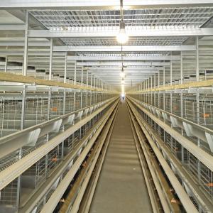 Wholesale 50000 Birds 5tiers Battery Chicken Cage Equipment Laying Hens Use ISO9001 Approval from china suppliers