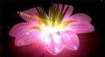 inflatable flowers decorations , balloon led , led light balloon , inflatable