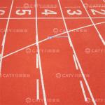 IAAF UV-Resistant Rubber Athletic Track for Athletic Fields Stadiums Centers