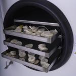 50HZ Sublimation Home Vacuum Freeze Dryer Machine 750W For Food