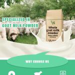 Whole Full Fat Cream Powdered Goat Milk Powder 25kg