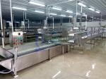 Automatic Seafood Fish High Pressure Bubble Washing Machine Shrimp Cleaning