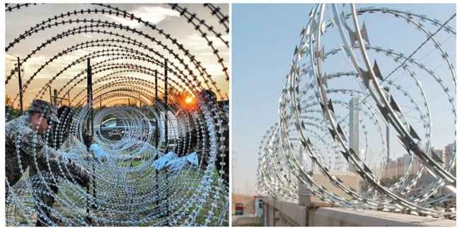 Green Pvc Coated Galvanized Coils Of Barbed Wire For Security Fence