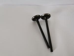 Wholesale Steel Car Engine Intake Valve for Gm Astra / Vectra / Zafira 2.0l / 2.2l / 3140-AC from china suppliers