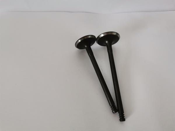 Steel Car Engine Intake Valve for Gm Astra / Vectra / Zafira 2.0l / 2.2l / 3140