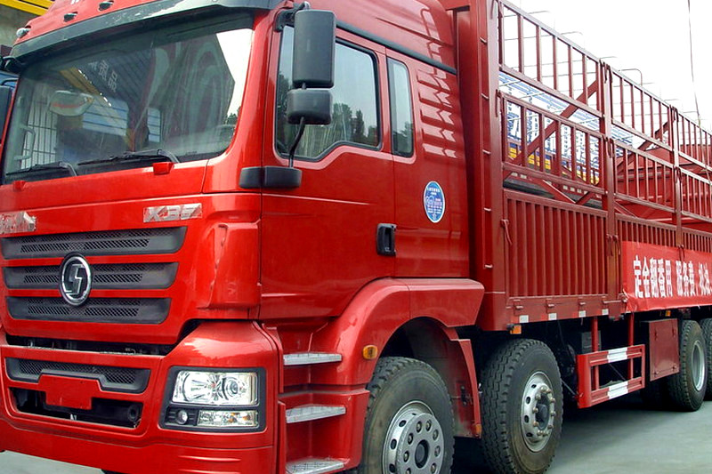 China Shaanxi Shacman Cargo Truck H3000 Lorry Truck Light Truck for different requirements
