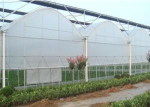 Wholesale 80m - 150m Plastic Film Greenhouse , Multi Span Greenhouse For Planter from china suppliers