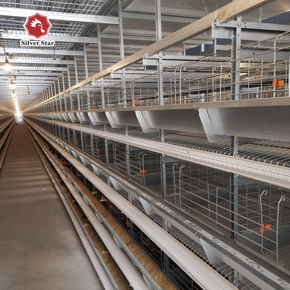 Stainless Steel Layer Poultry Farm Cage H type 54 birds / set