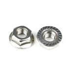 Customizable and Durable DIN6923 Stainless Steel Serrated Hex Flange Self