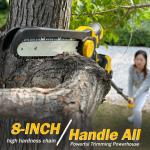 Telescopic Electric Pole Saw & Mini Chainsaw Battery Chain Saw Powered 8 Inch
