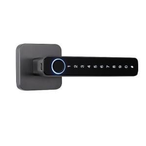 Wholesale Black Fingerprint Keypad Door Lock Zinc Alloy For Office / Room from china suppliers