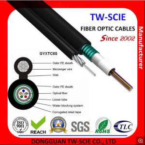 Wholesale 12 Core Central Loose Tube Self Support Armoured Fiber Optic Cable 8 Figure Cross Section Design from china suppliers