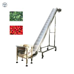 Wholesale Vegetable Fruit Frozen Food Inclined Conveyor Automatic Belt Chain Conveying from china suppliers
