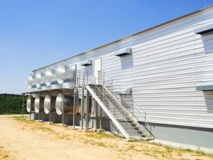 Wholesale Automatic Broiler Poultry Farm Shed Prefabricated Warehouse Buildings In Steel from china suppliers