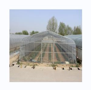 Wholesale 300 Square Meter Cucumber Greenhouse Single Span Tunnel Design from china suppliers