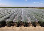Garden Greenhouse Outdoor Mosquito Netting Climate Nets UV Stabilised For Long