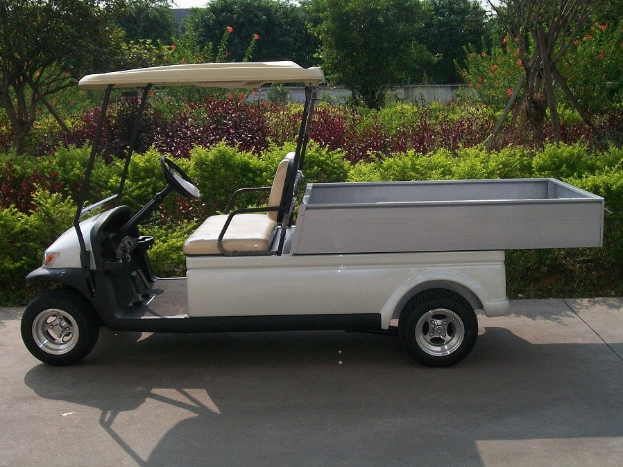 Blue Color Street Legal Golf Utility Vehicles With Curtis 400 A Controller