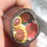 0.6/1KV Copper core PVC insulated PVC sheathed power cable VV22