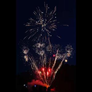 Wholesale Chinese Customized Fireworks Shots Pyrotechnics Party Festival Cake Fireworks Salute 2024 from china suppliers