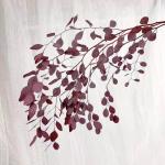 Wholesale preserved foliages preserved eucalyptus dry leaves gift rose