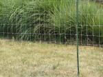 Galvanized Sheep Farm Fence Factory Price