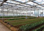 Medical Planting Agricultural Greenhouse Customized Size With Blackout Curtain