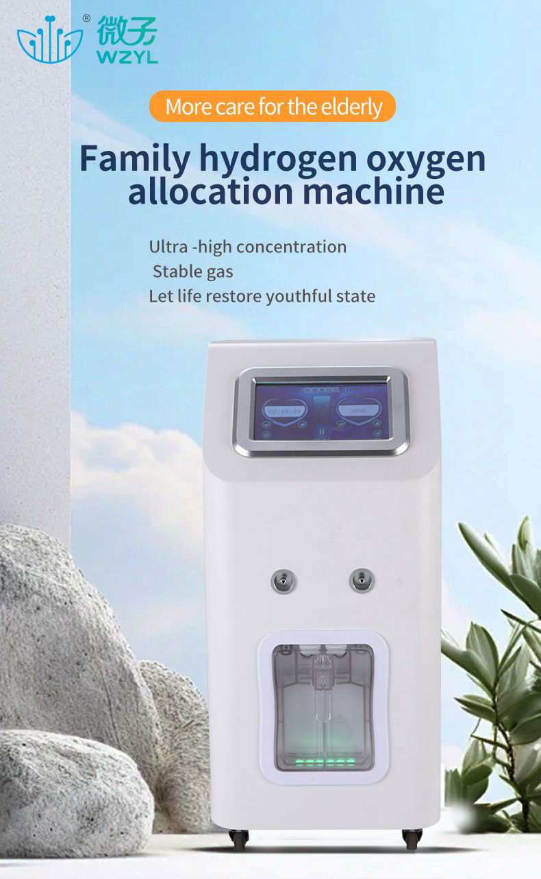 Oxygen Flow 1000ml/min 3000ml Hydrogen Inhalation Machine 99.99% Hydrogen Biofuel PEM Fuel Cell for Home