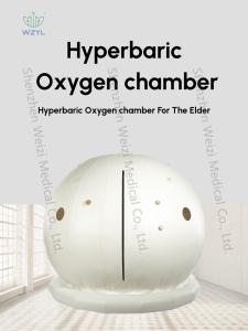 Wholesale Household Soft Hbot Chamber For Home Use 4 Persons 180cmx175cm from china suppliers
