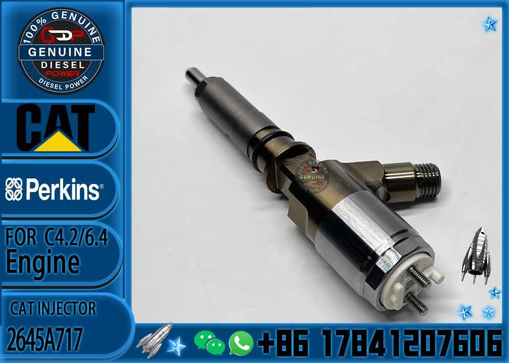 excavator injector 317-2300 C6.4 and erick 2645A717 32F61-00062 32F61-00014 32F61-00022 32F61-00012