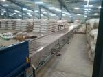 Stainless Steel Powered Roller Conveyor