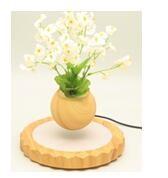 Wholesale wooden magnetic levitate floating bottom air bonsai pot tree from china suppliers