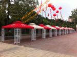 Outdoor Leisure 3mx3m Powder coated Steel Pavilion Canopy Patio Gazebo