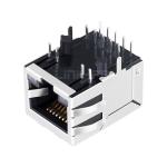 WE 7499111446 Compatible LINK-PP LPJG4820G4NL 100/1000 Base-T Tab Down G&Y/G&Y