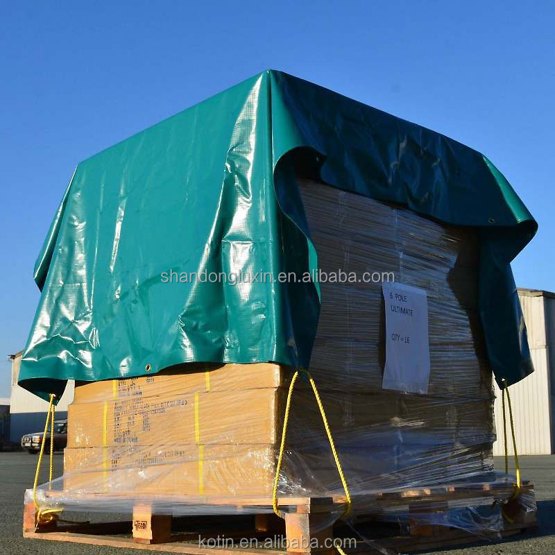 UV Protected Plastic Fabric Sheet for Agriculture/Industrial Cover in Standard Size