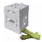 Asparagus Okra Fruit And Vegetable Packaging Boxes Coreflute