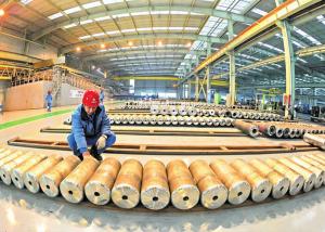 Wholesale Stainless Steel Seamless Boiler Tubes / ASTM 316 316L A312 304 Ss Tubes from china suppliers