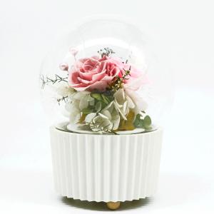 Wholesale 3-5 Years Lasting Preserved Rose Glass Dome Beautiful Home Decor Day Gift from china suppliers