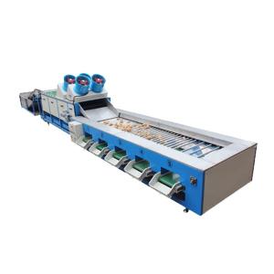 Wholesale Vegetable Apple Potato Onion Tomato Garlic Grading Machine from china suppliers