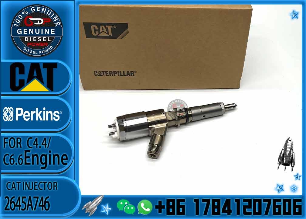 Common Rail Injector 2645A746 10R-7672 2645A718 10R-7673 10R-7676 2645A734 10R-7674 10R-7668 10R-7938